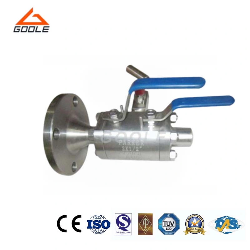 Single Flanged Single Block and Bleed Ball Valve / SBB Valve / Dbb Valve