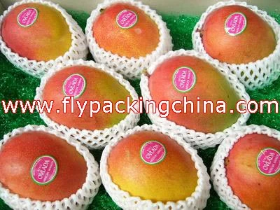 Internation Mango Fruit Cover Foam Net for Supermarket Display