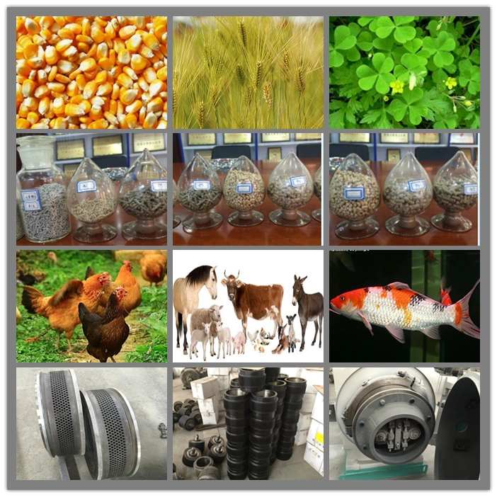 CE 2t/H Animal Feed Machine Feed Pellet Machine Poultrry Cattle Chicken Feed Production Line Feed Processing Machinery