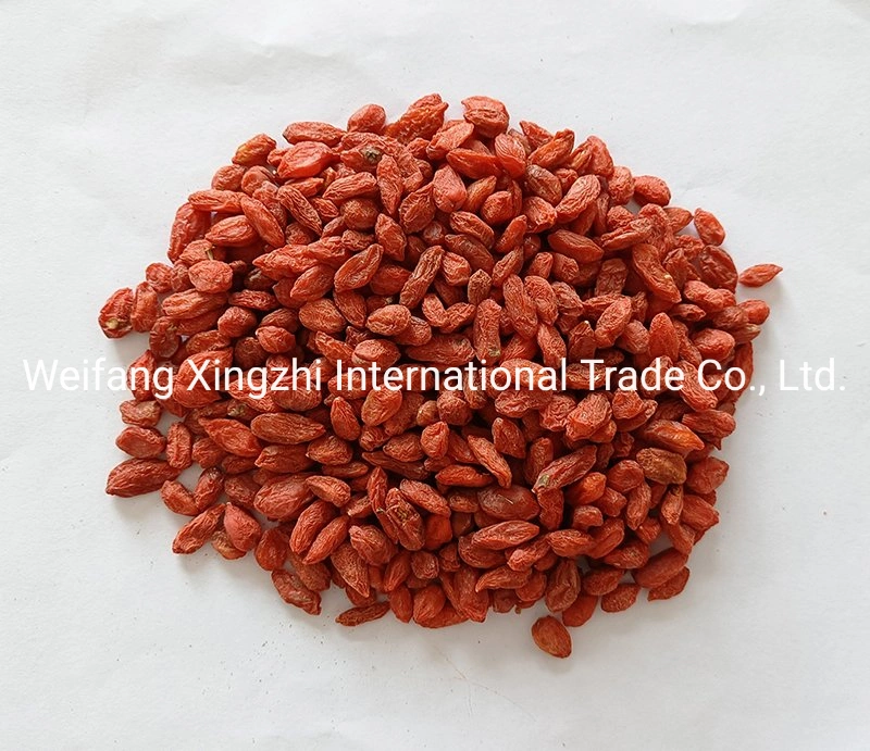 Chinese Wolfberry Natural Dried Organic Goji Berry