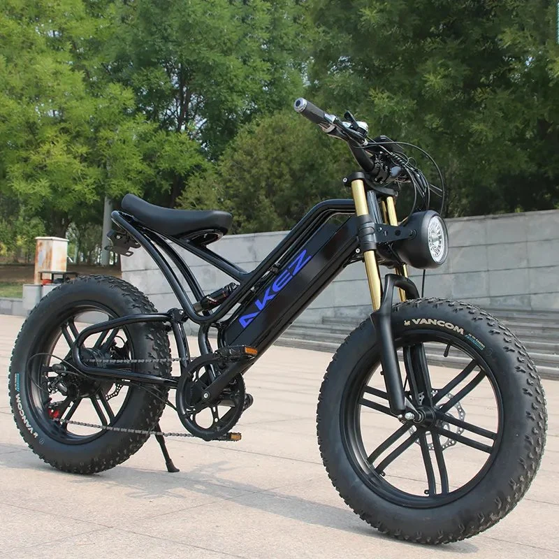 2023 Nuevo barato 48V 750W Motor de alta velocidad eléctrico Foldable Montaña Bicicleta E Dire bicicleta para adultos