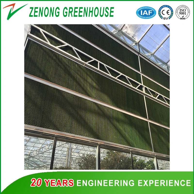 High quality/High cost performance Greenhouse Cooling Pad for Lower The Greenhouse/Poultry Temperature