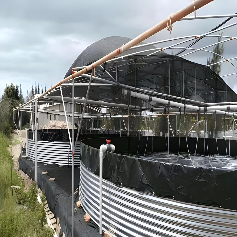 Aquaculture Réservoirs d'élevage de poissons pour l'élevage de crevettes