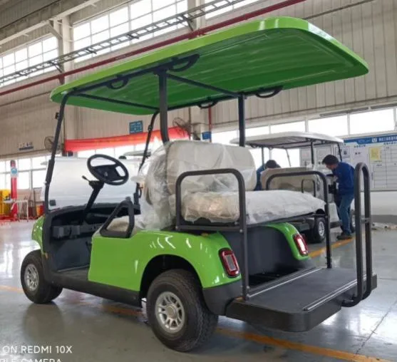 2 Plätze/4 Plätze Smart Golf Cart Street Legal Electric Fahrzeuge Volle Garantie