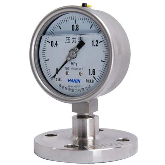 Ytn-100h German Type All-Stainless Steel Shock-Proof Pressure Gauges Vibration-Proof Pressure Meters Glycerine Oil Filled