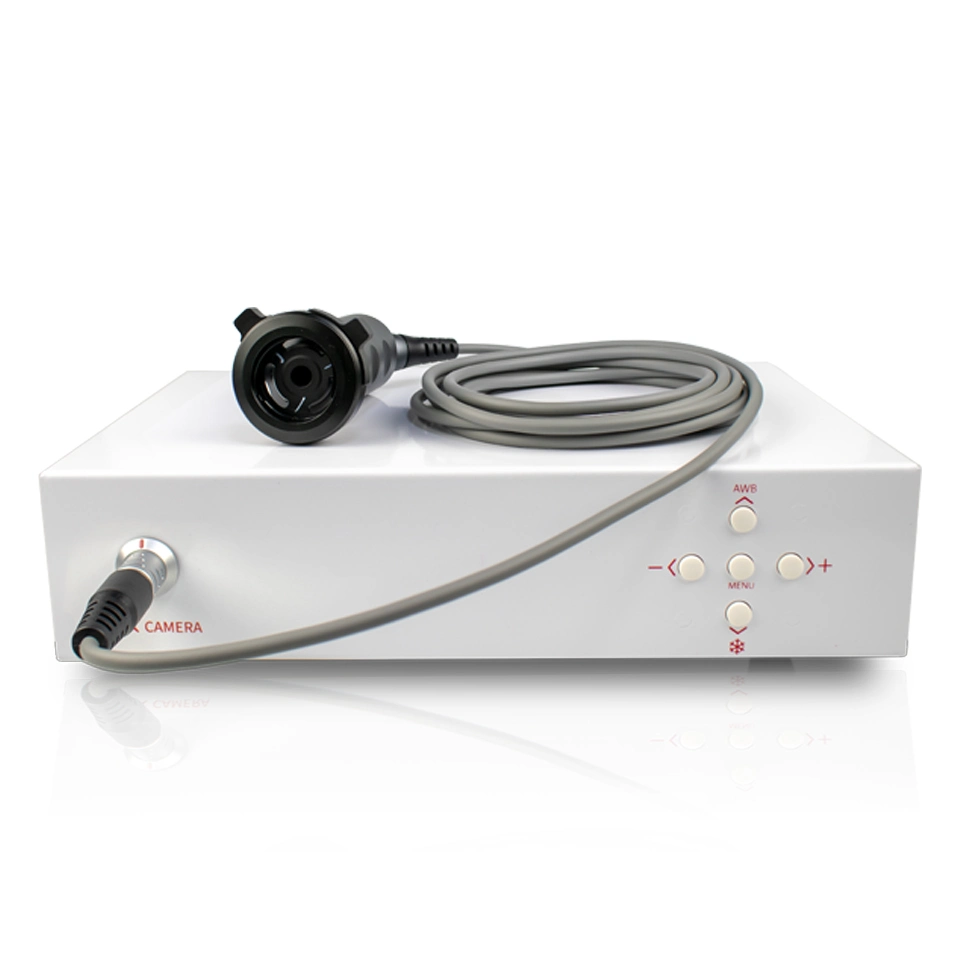 Ent Endoscope with Camera Endoscopic Medical Ear Otoscope Price
