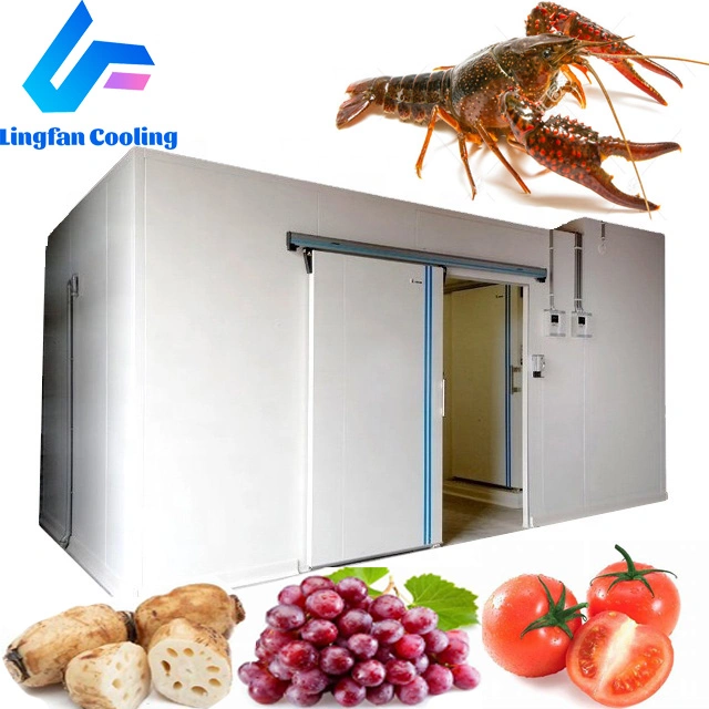 Sala fria refrigera ultracongelação, Mini-Sistema de Refrigeração
