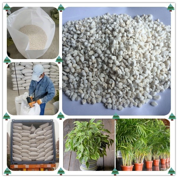 Soilless Matrix Soil Improver Agriculture Horticulture Expanded Perlite