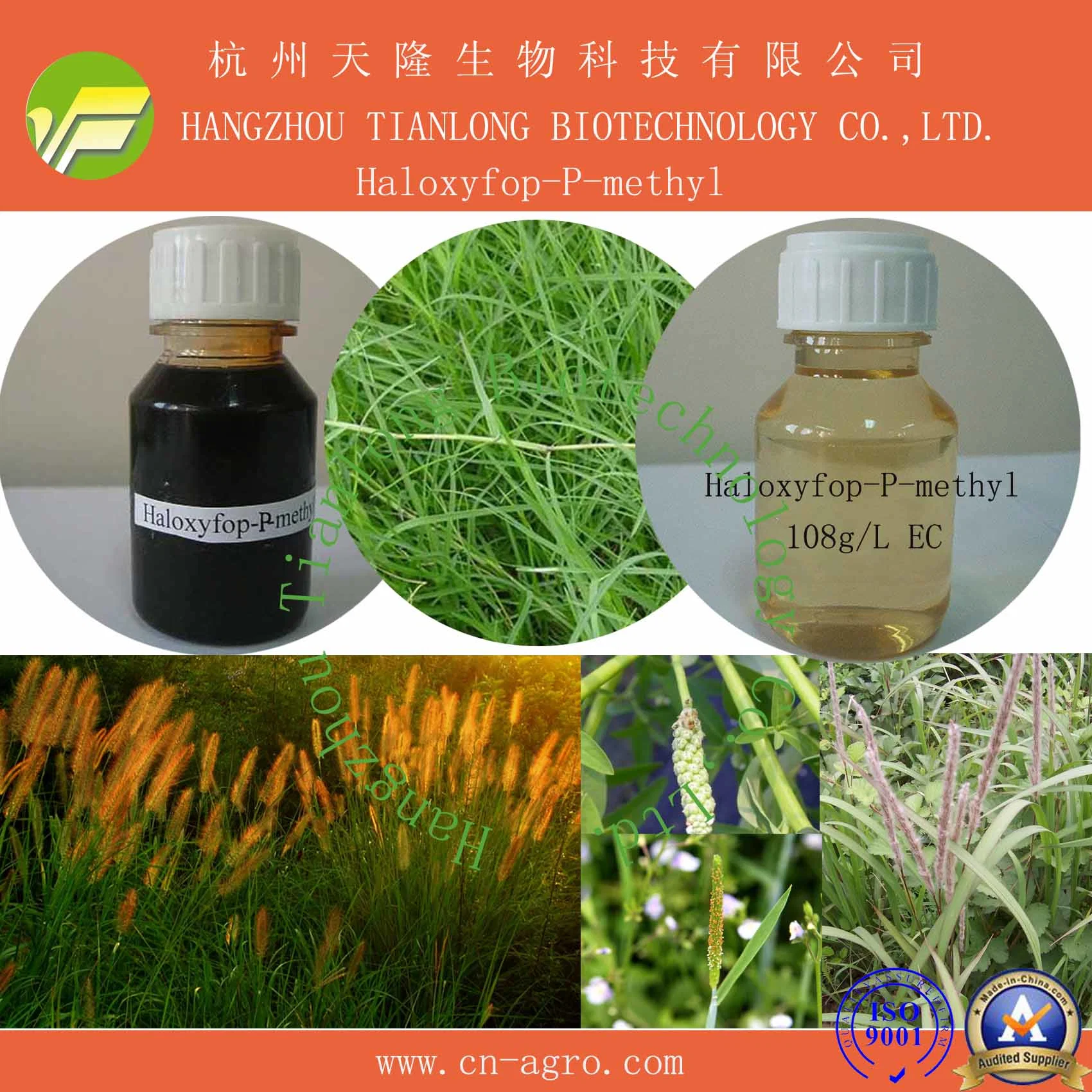 Herbicide Haloxyfop-p-methyl 90%TC, 95%TC CAS 72619-32-0