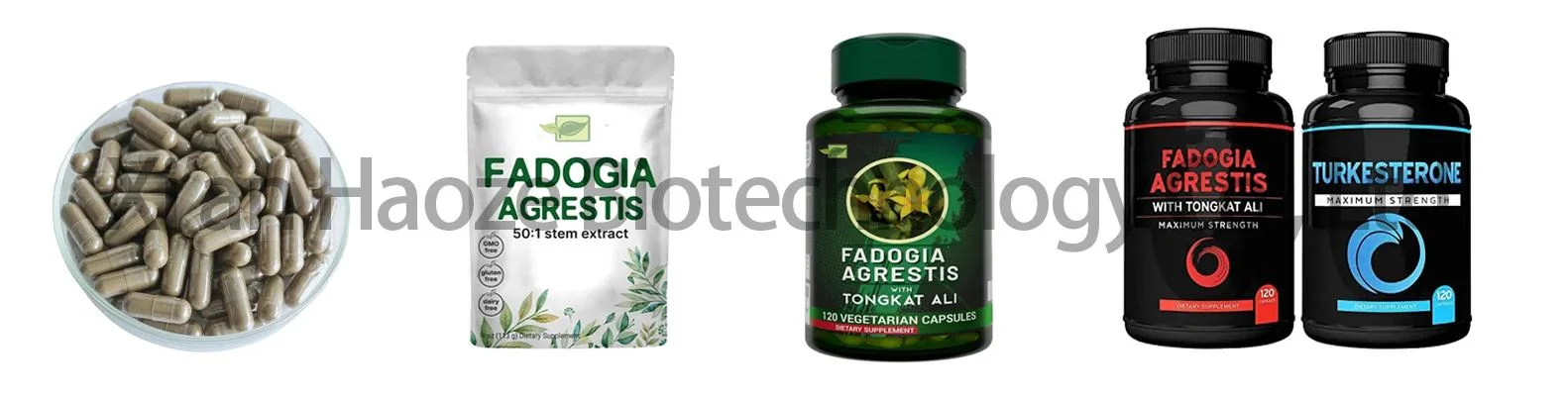 Customize Private Label Health Supplement Capsules Fadogia Agrestis Capsules