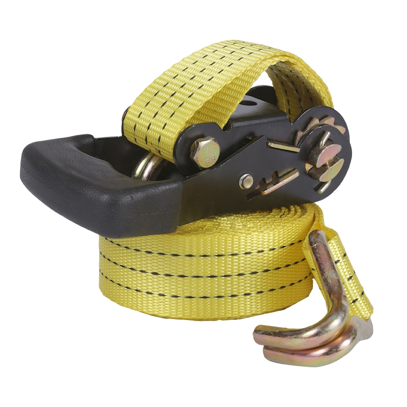 2"*10m Lashing Belt with Big Plastic Handle Good Price and Certificate