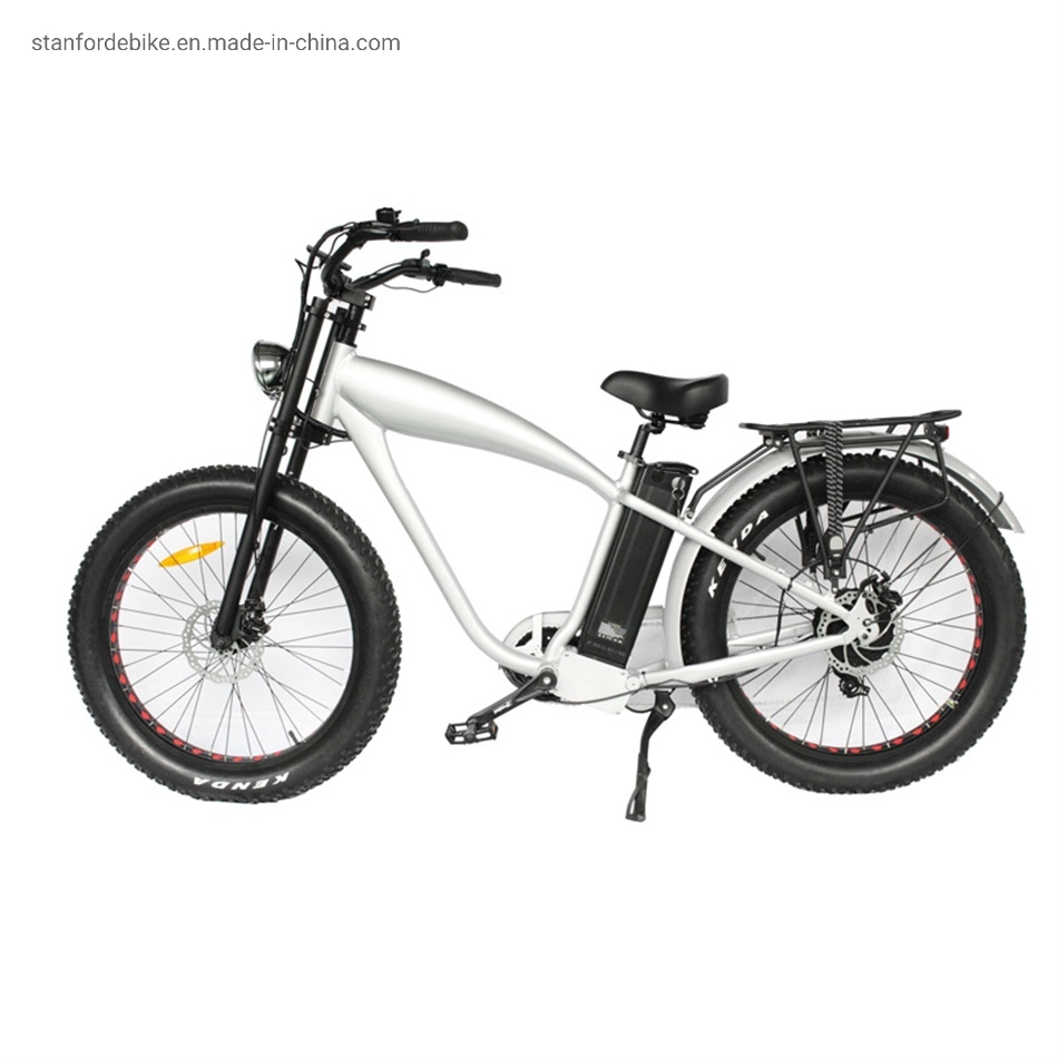 2021 Stf-2 Bicycle Ebike E Cheap China 48V Bicycles for Sale Electric Bicycle