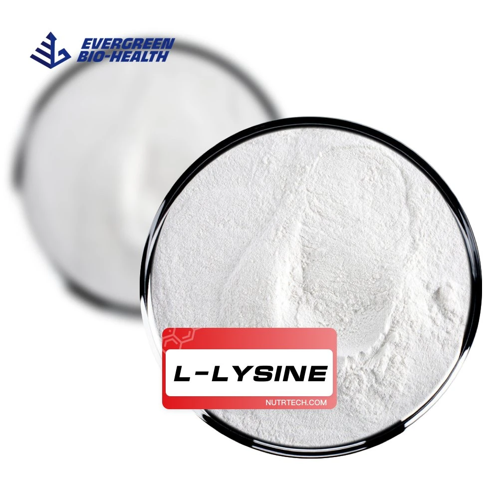 Pure Organic Raw Materials L-Lysine for Poultry Feed