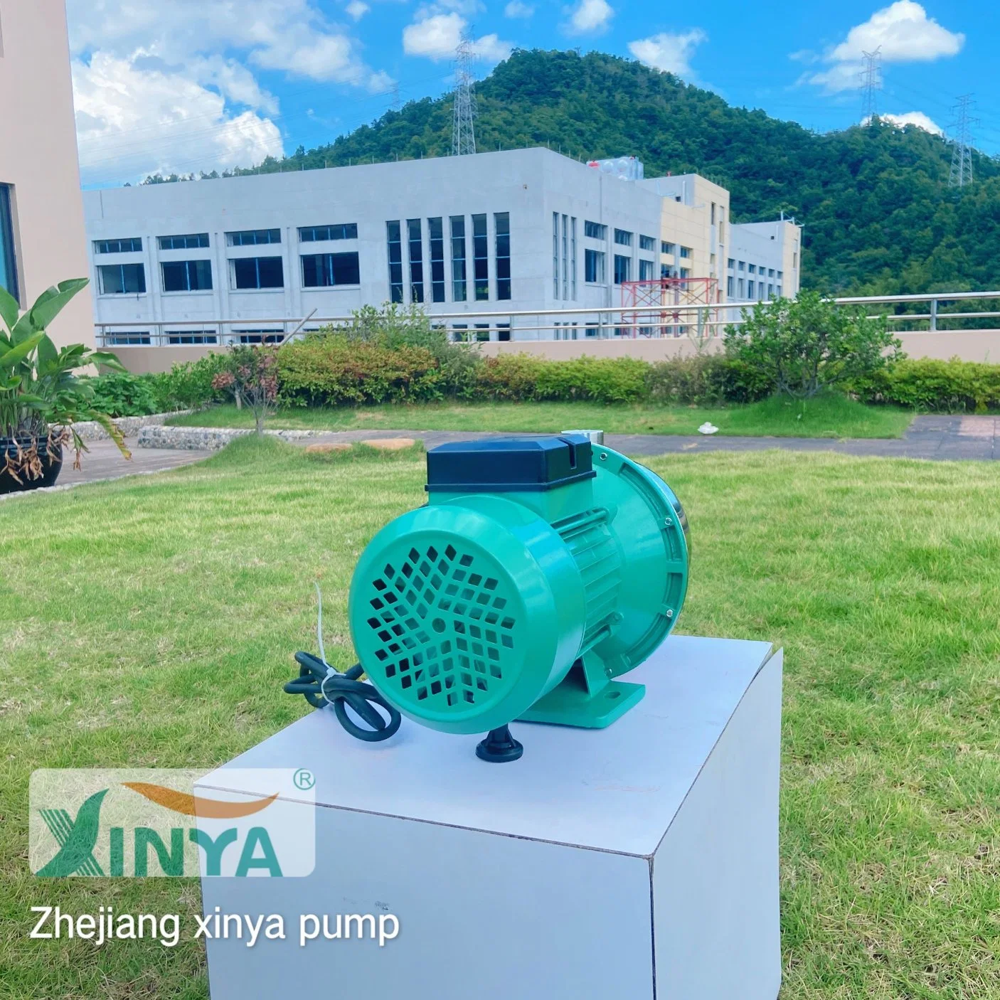 Xinya Top Selling 220V Stainless Steel Booster Water Pump