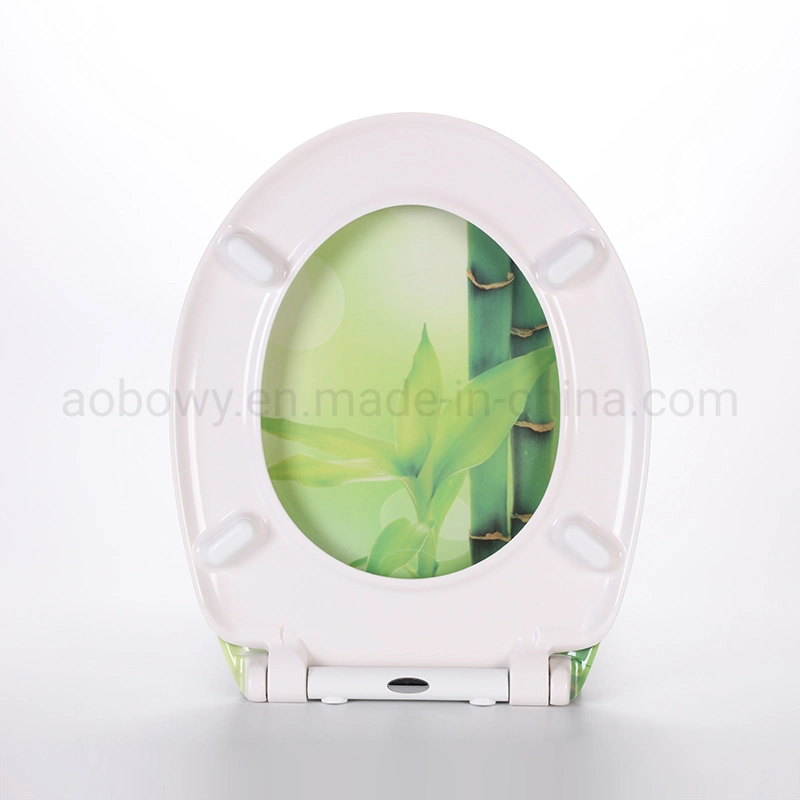 Sample Customization Bathroom Rectangular Soft Close 3-Sides Printed Ceramic Special Toilet Seat