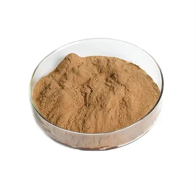 100% Pure Organic Powder Ganoderma Lucidum Granularity 40-80 Mesh Mushroom Extract Powder