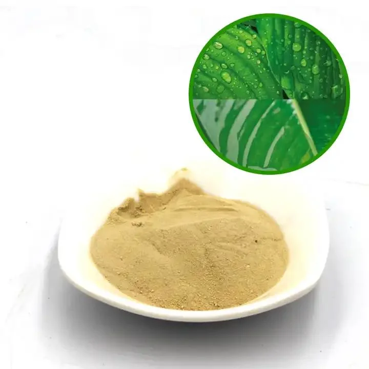 Amino Acid Powder 80% Organic Fertilizer Animal Nutrition Amino Acid CAS 65072-01-7