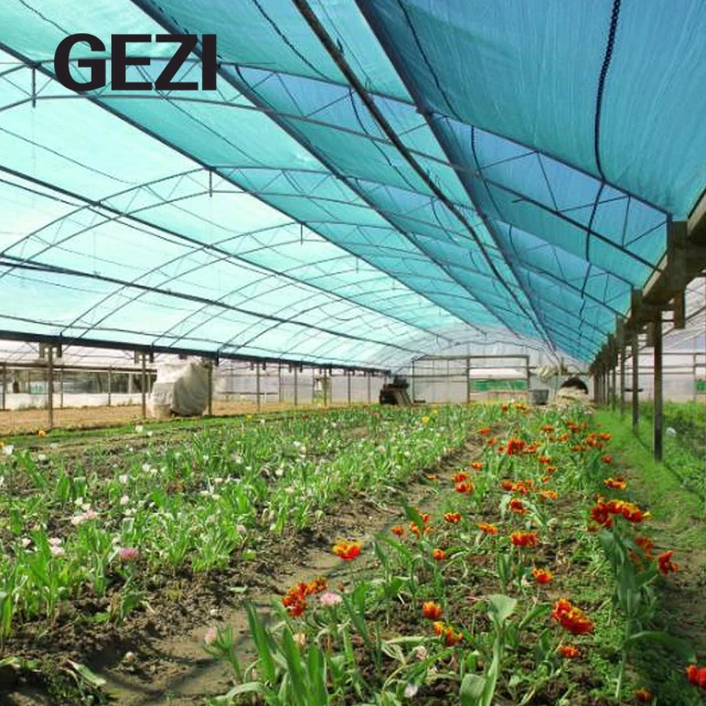 مصنع الصين HDPE الأشعة فوق البنفسجية السوداء اللون الأخضر ظلل Mesh Greenhouse الساحات الزراعية