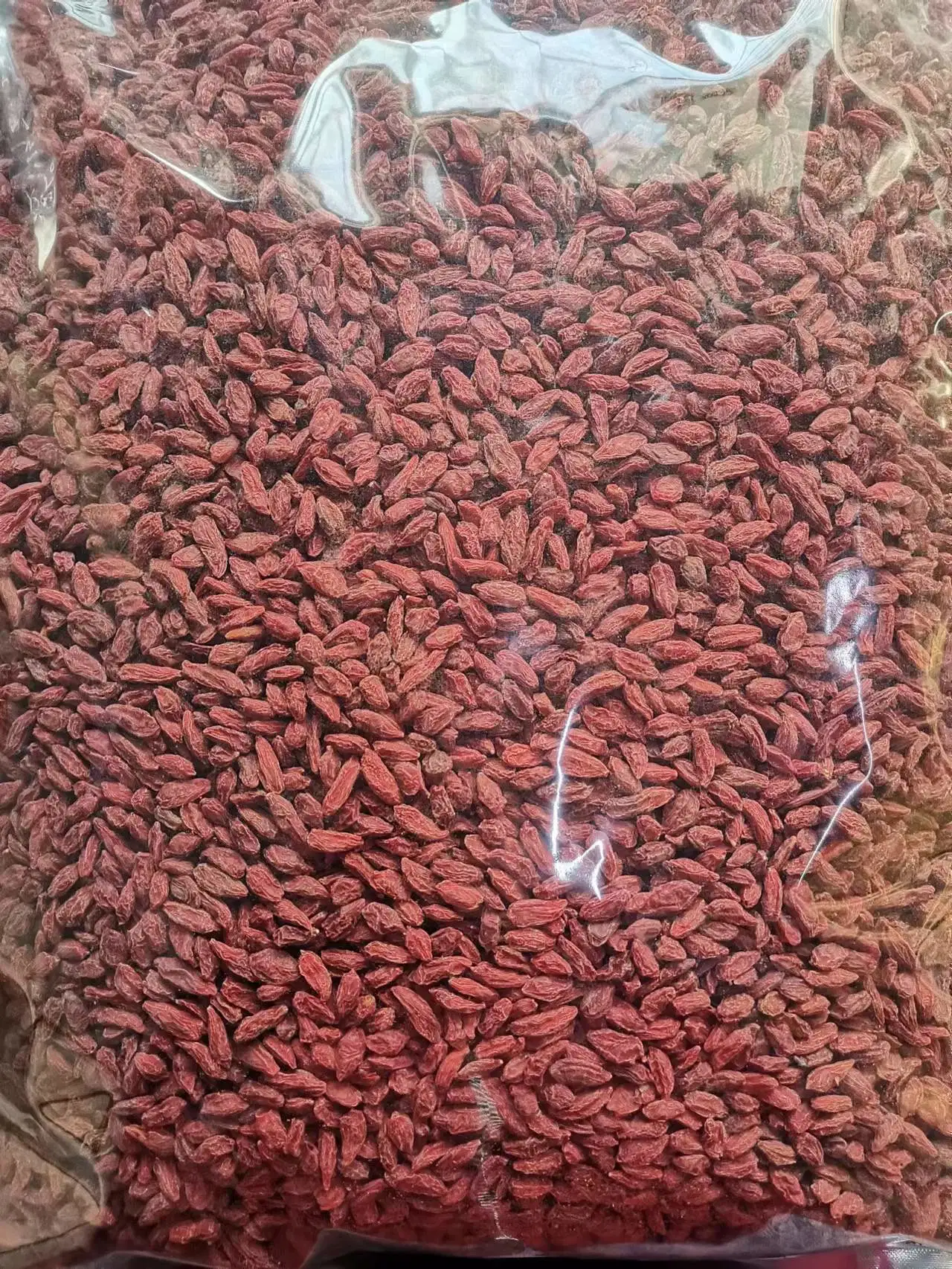 Les baies de Goji séchées organiques des fruits sains de la Chine de gros en usine