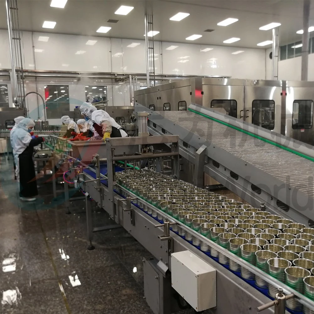 Automatic Canned White Button Mushrooms Processing Line