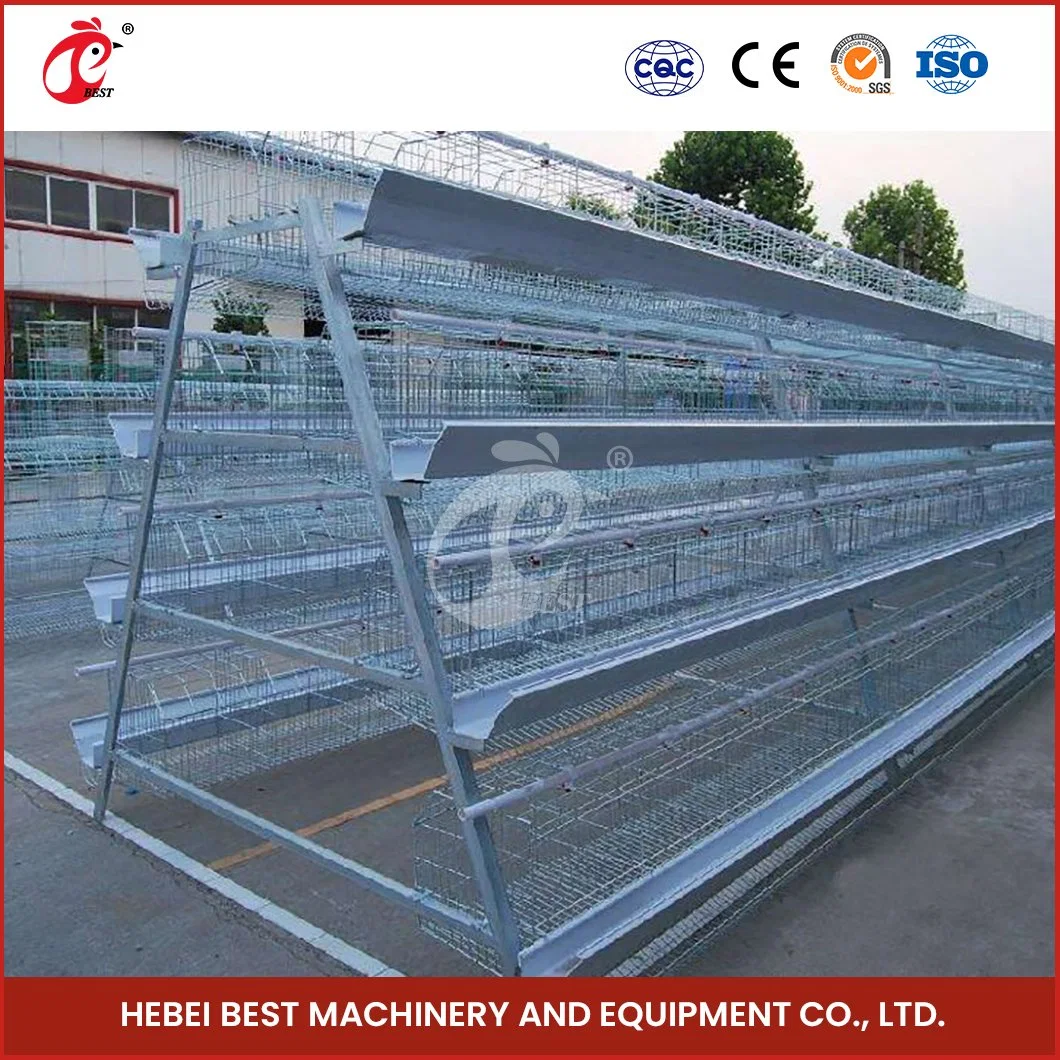 Bestchickencage Ordinary Type Layer Cage China Type Layer Chicken Cage Factory Sample Available Quick Clean Disinfect Features H Chicken Layers Cage