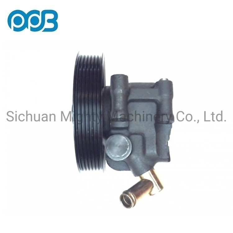 Hydraulic Power Steering Pump for Ford OEM 2L3z3a674aarm 2L3z3a674carm F65z3a674AA /F5RC3a674CB 3915088