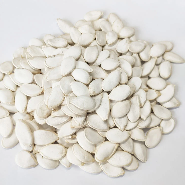 Hot Sale European Standard Snow White Pumpkin Seeds