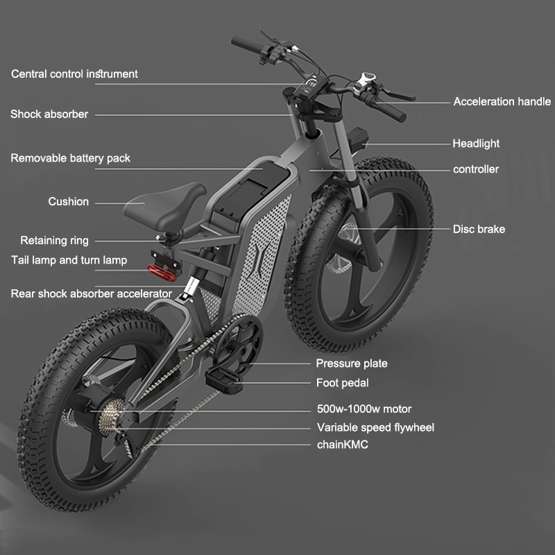 40-120km fábrica eBike preço 1000W 20 polegadas pneu gordo escondido Bateria bicicleta elétrica