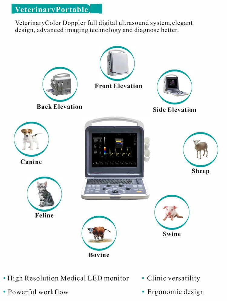 My-A035b Medical Supplier Cheap Portable Ultrasound Vet Sheep Ultrasound Machine Color Doppler 3D 4D