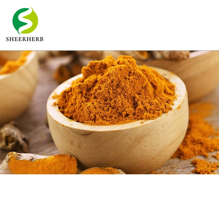 Hight Quality Free Sample Organic Turmeric Root Powder Antioxidant 95% Curcumin