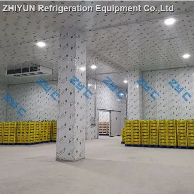 Walk in Cold Rooms for Eggs Cold Storage