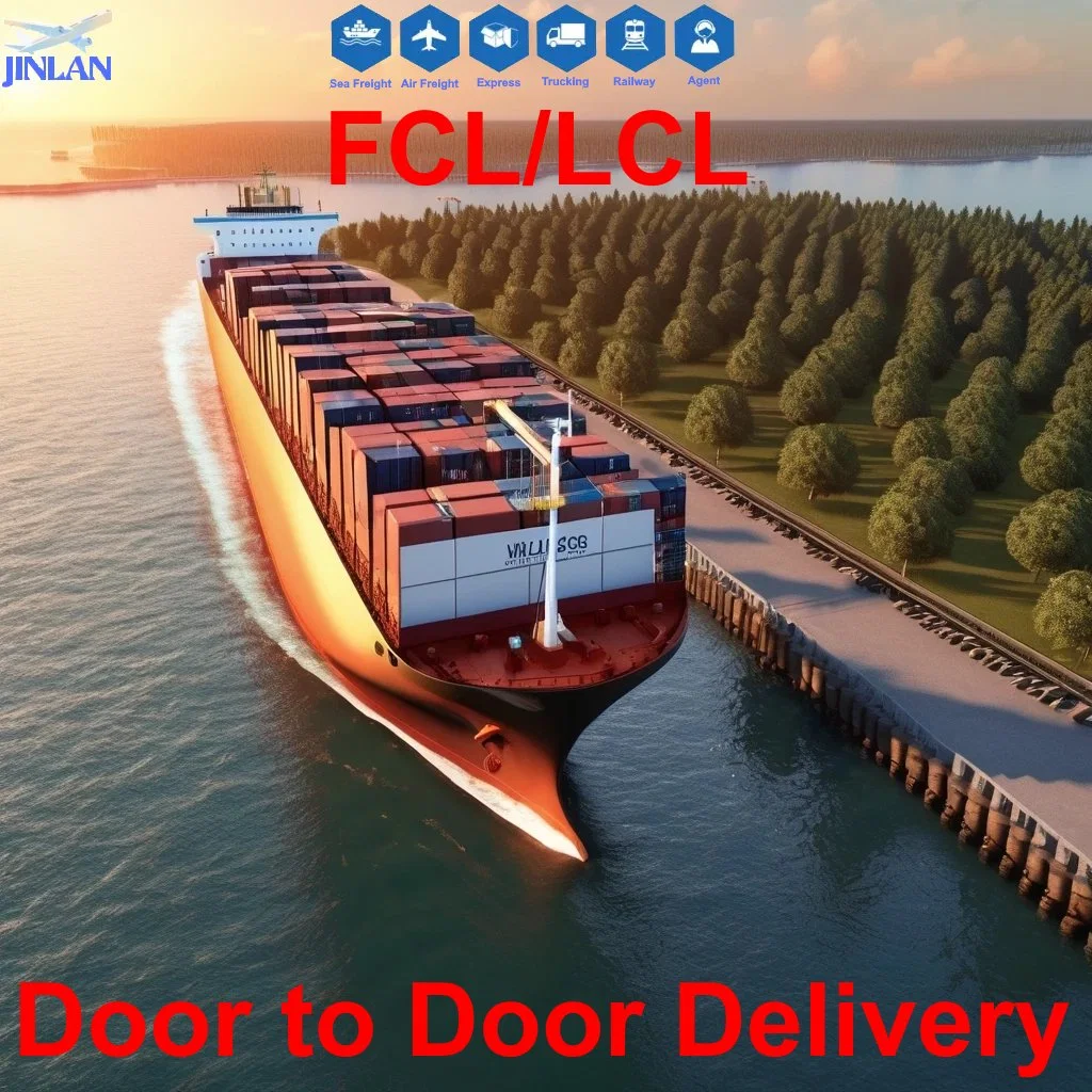 International Door to Door Sea Freight Shipping Agent Freight Forwarder Rates From China to USA Amazon Fba