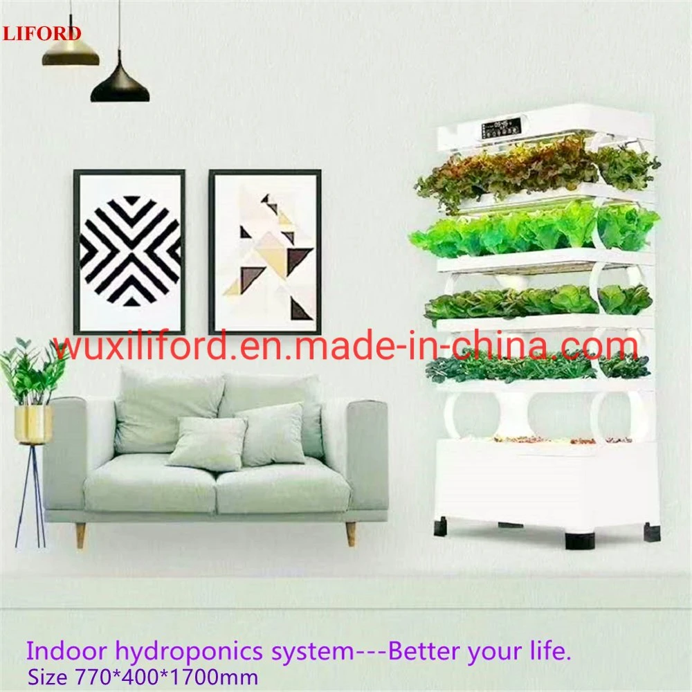 China Supplier Lettuce Indoor Hydroponics Soilless Cultivator with Hydro Nutrients