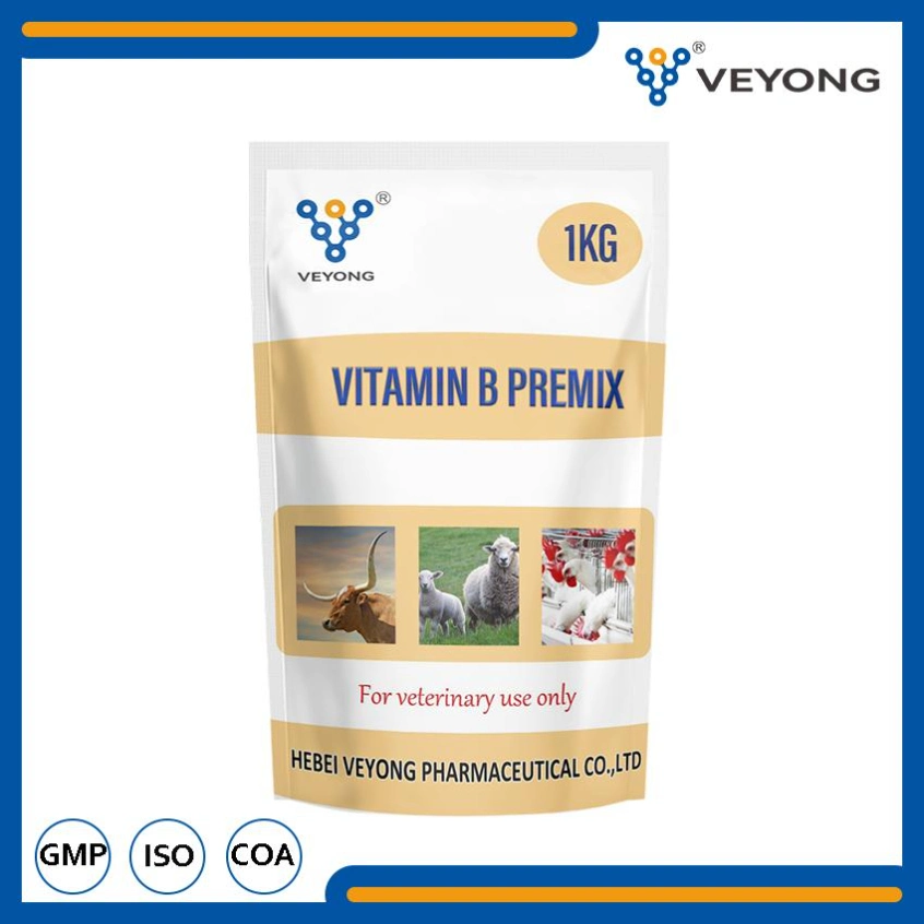 Alimentação de aves de vitamina B Premix vitamina B12 Matérias-primas Nutritions Veterinários