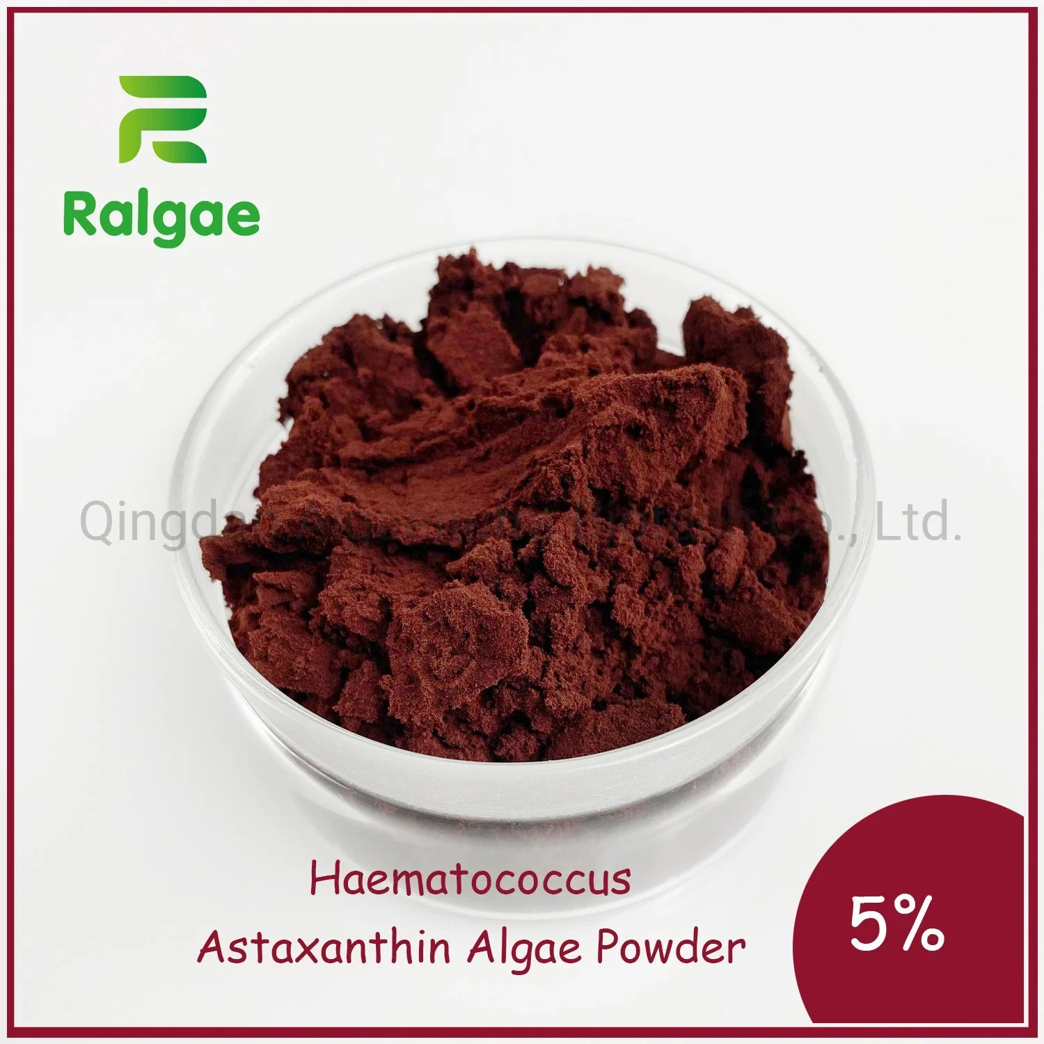 La poudre d'algues Haematococcus naturelles de l'astaxanthine naturelle de la poudre d'huile de l'Astaxanthine L'oléorésine de l'Astaxanthine antioxydant astaxanthine pour Animal Les animaux de compagnie d'alimentation de l'aquaculture