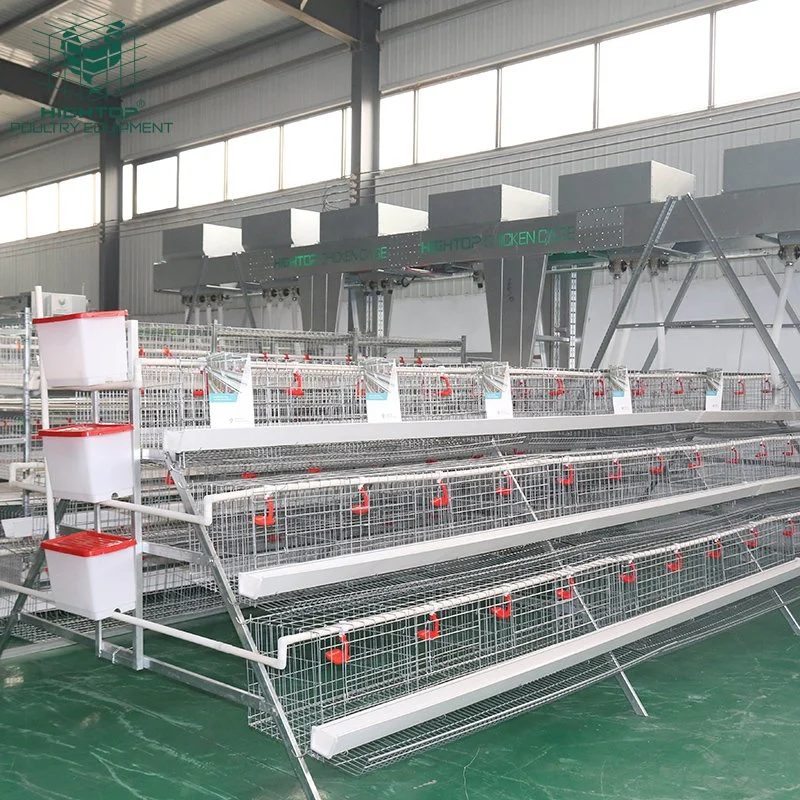 Hightop Cheap Quality Hot Galvanized Poultry Farm Layer Chicken Cage