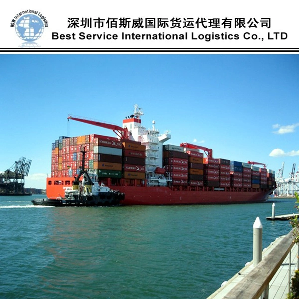 DDP Safe Sea Shipping Ocean Forwarder Freight From China to La Guaira / Port of Spain, Barcelona, Valencia, Vigo, Bilbao / Puerto Cabello