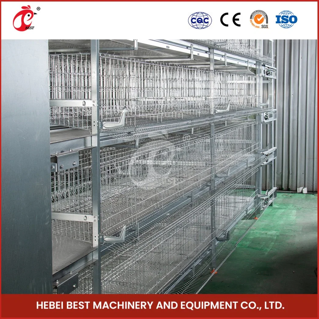 Bestchickencage H Type Pulled Brooder Cage Breeder Cage China Mobile Pullet Hen Manufacturing Wholesale/Supplier Long Service Life 5 Chicken Pullet House Cage