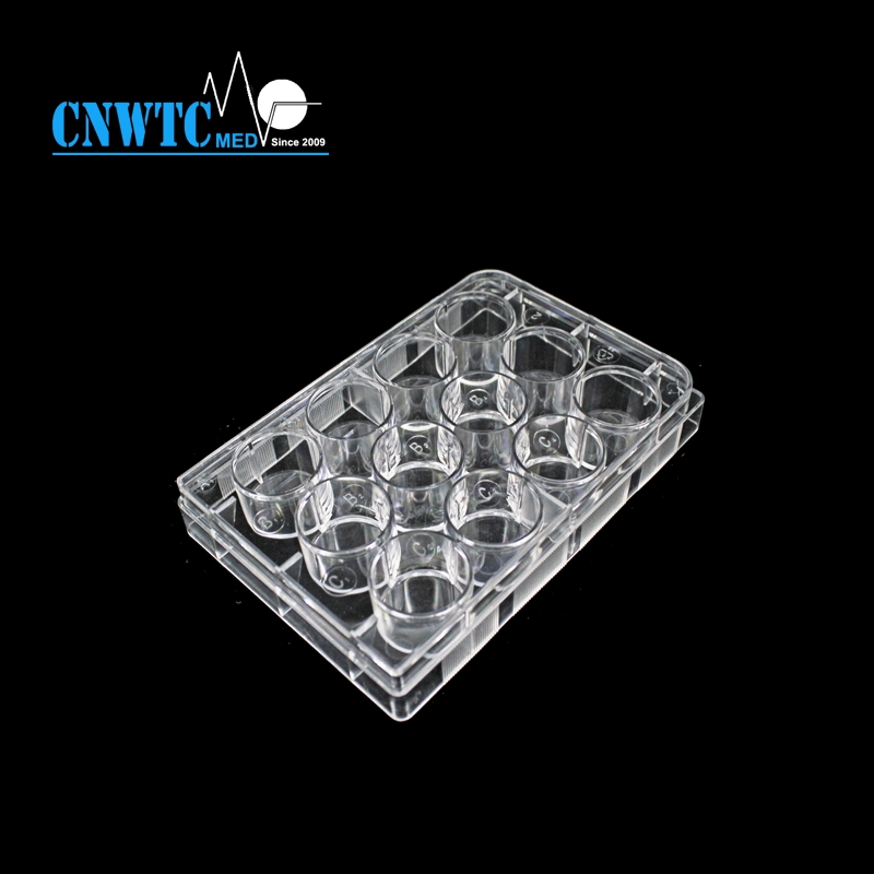 24well Laboratory Plastic Sterile PCR Reaction Cell Tissue Culture Plate