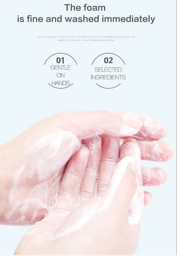 300ml Antibacterial Foam Liquid Soap for Hand Wash