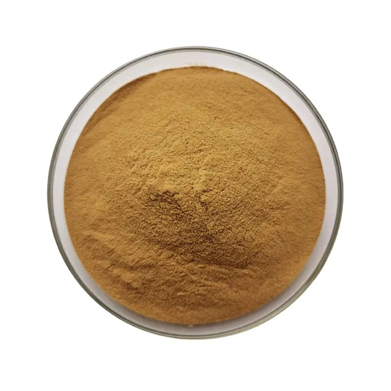 Natural Plant Extract Extract Ratio 6: 1 Herb Herbal Roman Chamomile Extract