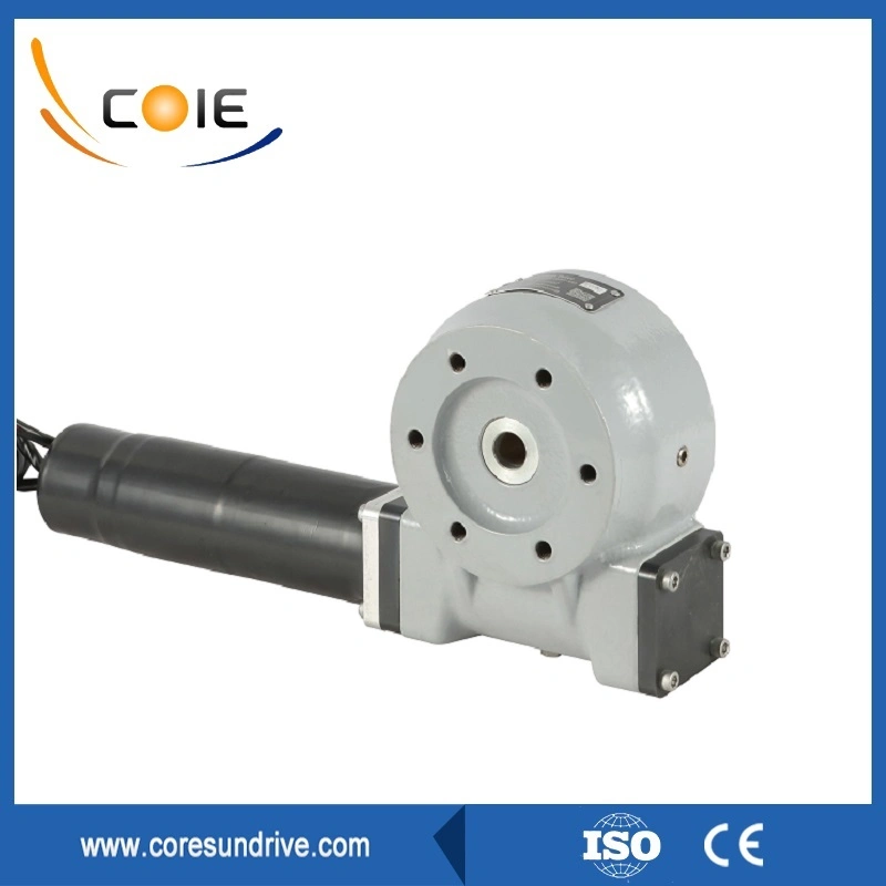 Slewing Drive Worm Gear for Satellite Antenna and Solar Tracker System