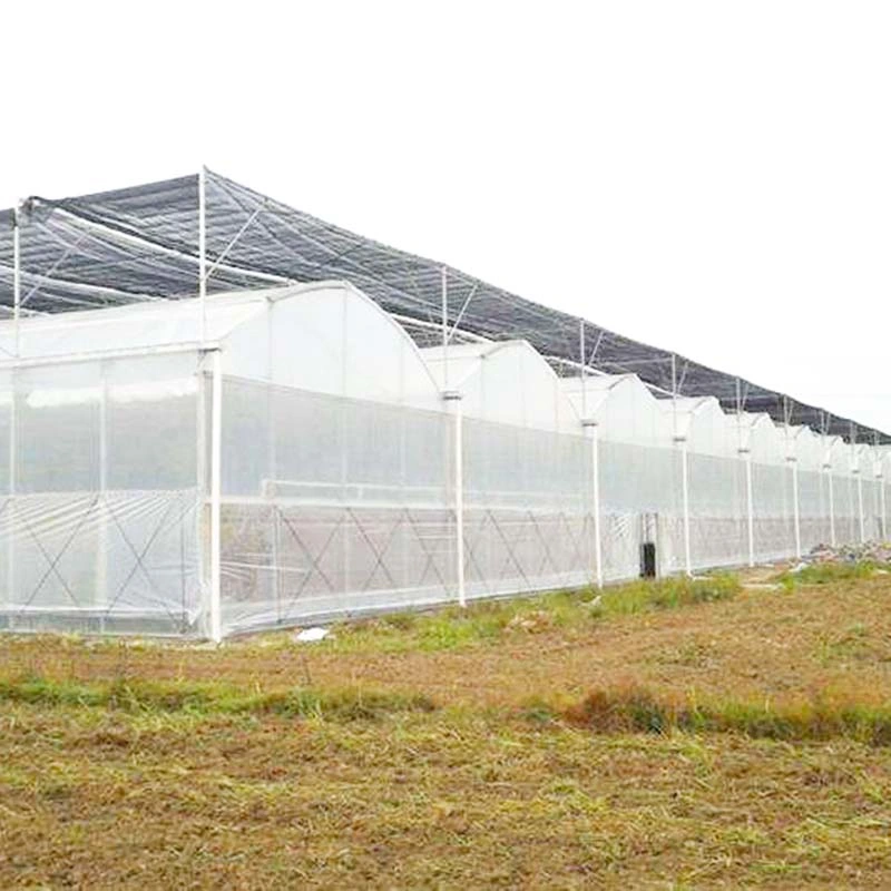 Tunnel Garden Warm Agro Multi Span Greenhouse with Shading System