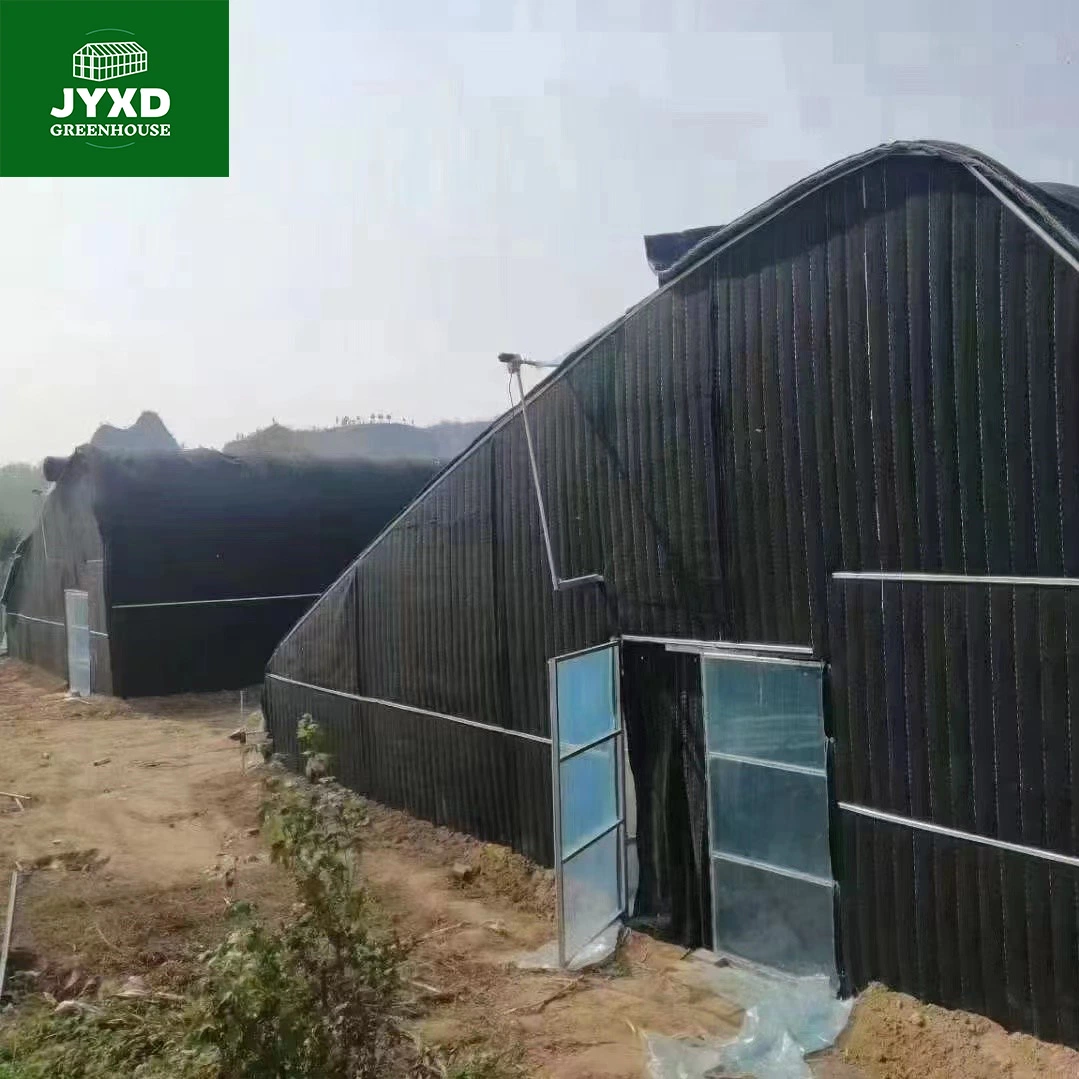 Modern Agriculture Multi-Span Customized Oval Tube Greenhouse with Hydroponics System Cooling System for Vegetables Fruits Flowers Lettuce Cucumber