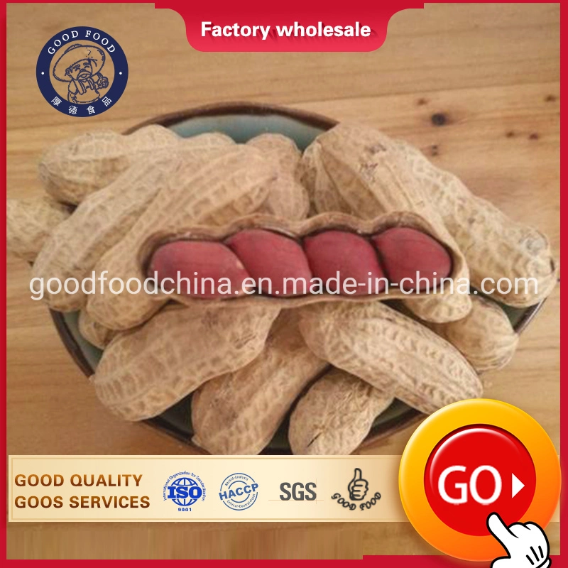 Hot-Selling Chinese Raw Peanut Kernels