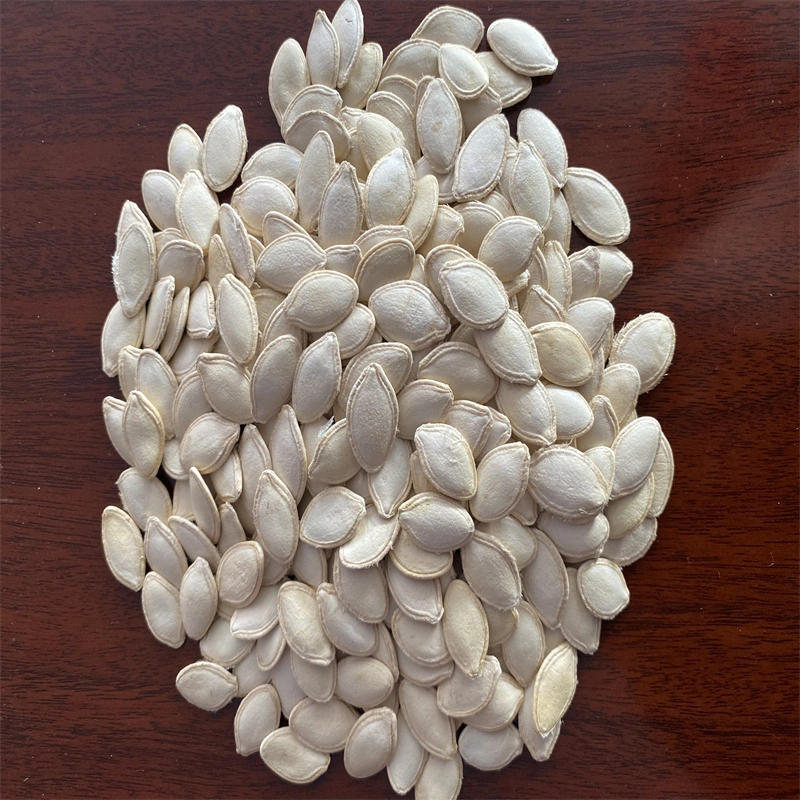 Natural Roasted Pumpkin Seeds with High quality/High cost performance 