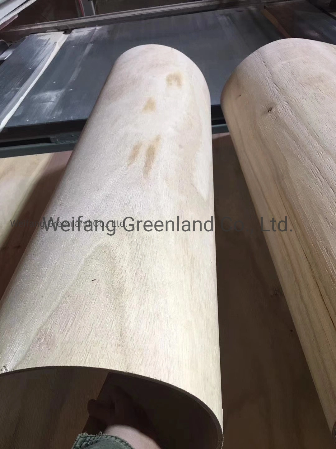 5mm Paulownia Wood Soft Plywood/Flexible Plywood