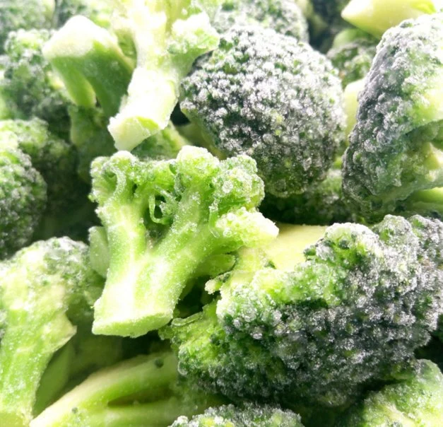 Good Health Green Vegetable Frozen Broccoli for Daily Nutrition