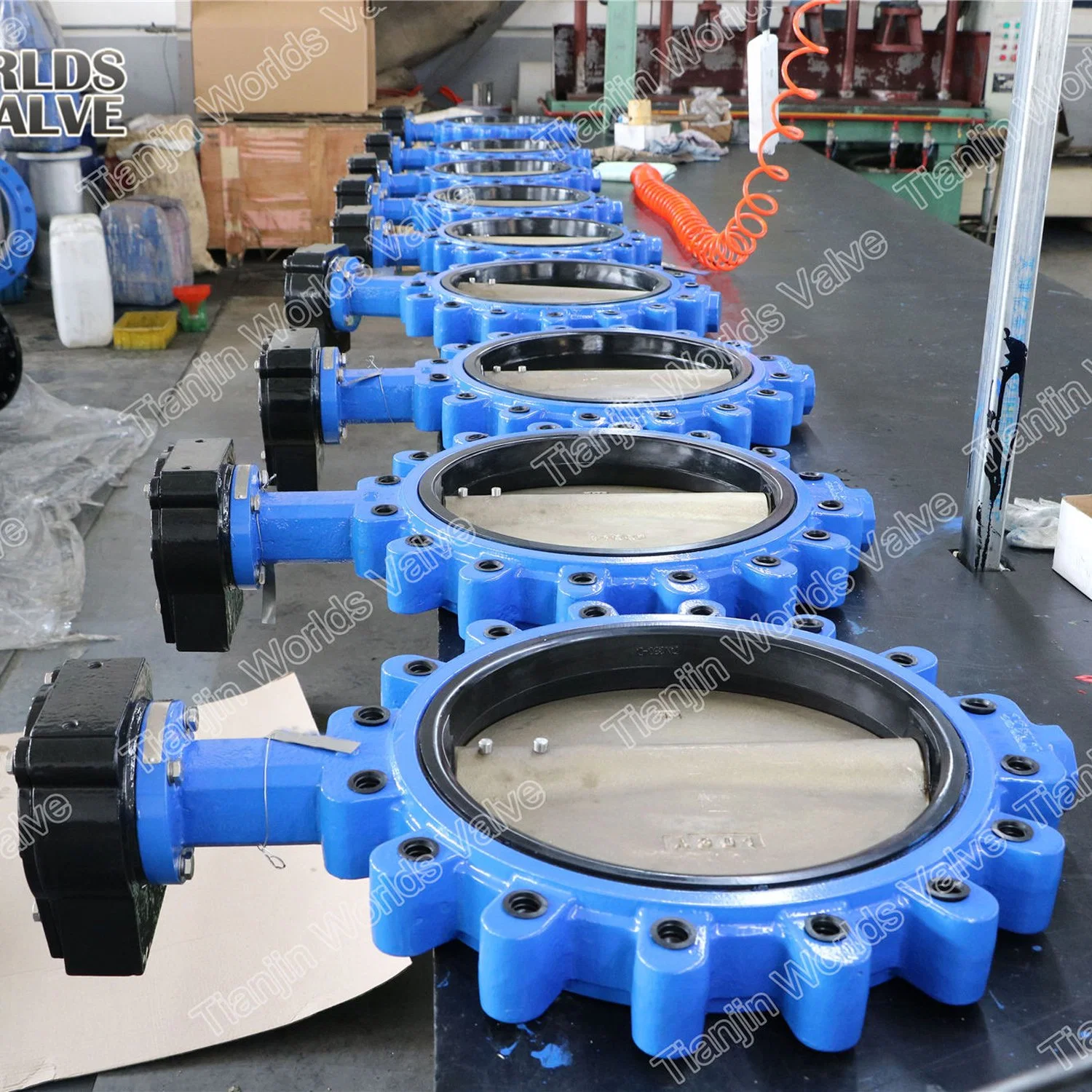 Ggg40 Ggg50 EPDM NBR Sealing Full Lugged Butterfly Valves Ss Body and Disc