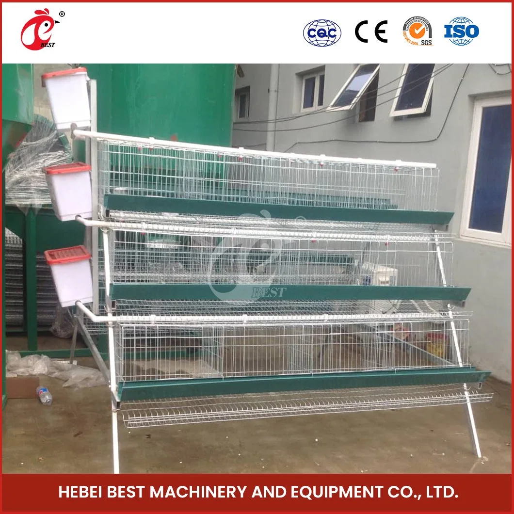 Bestchickencage uma Cage de tipo China Hen Cage Manufacturing Amostra gratuita de equipamento de gaiola de aves para configuração automática do sistema de gaiola de bateria